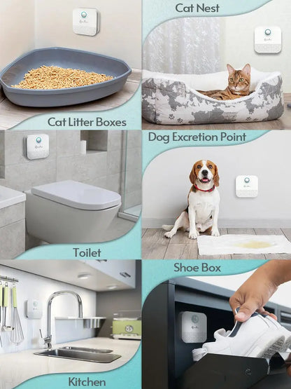 DownyPaws BreezeBox: Intelligent Odour Eliminator for Pet Spaces