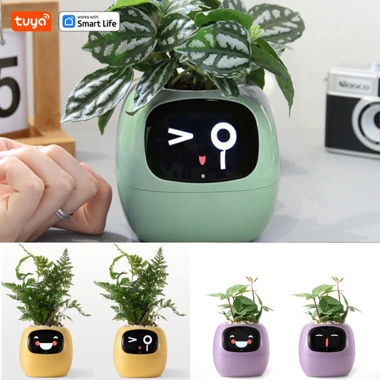 Plantiva – Interactive Smart Pot with 49+ Emotions